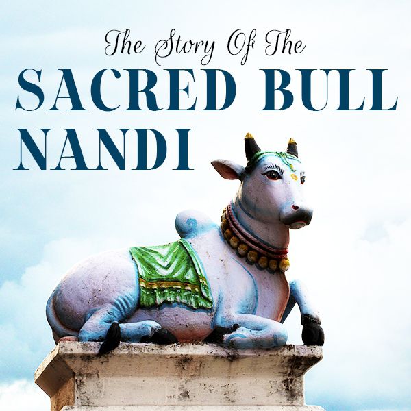 The Story of Nandi The Story of Nandi