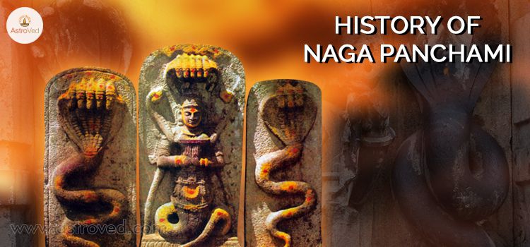 Learn More About the History of Naga Panchami Celebrations