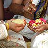 Rasi Porutham