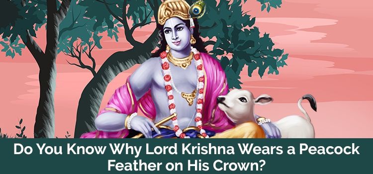 Do you know why Lord Krishna is shown wearing a peacock feather on his crown?