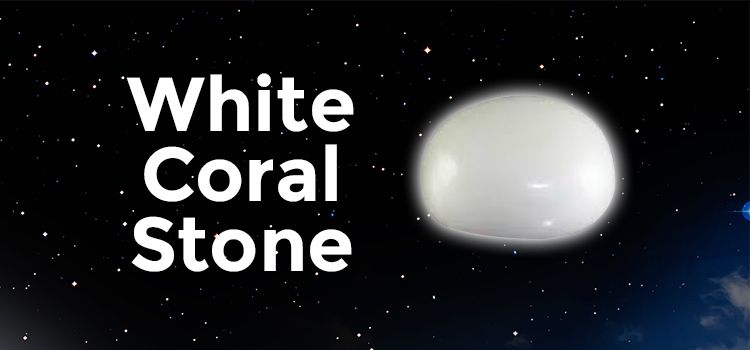 White Coral Stone: Know the White Coral Stone Benefits and the Correct Way of Wearing it