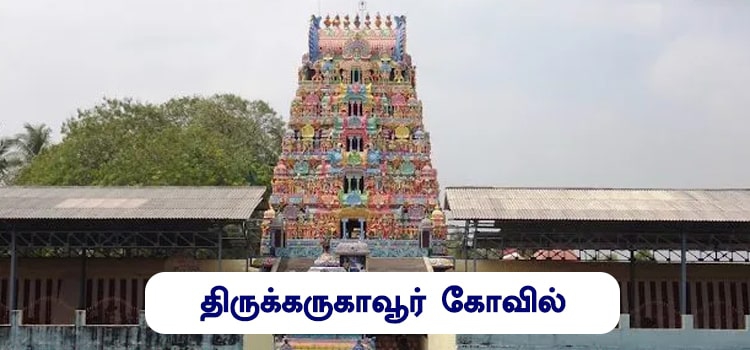 திருக்கருக்காவூர் கோவில்