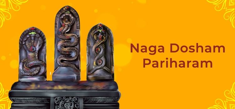 How To Remove Naga Dosham and Its Remedies How To Remove Naga Dosham and Its Remedies