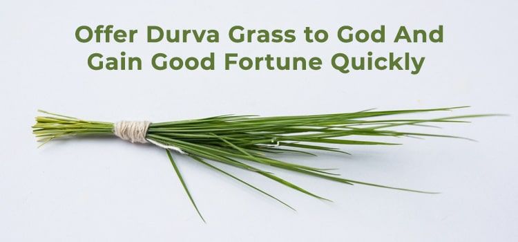 Offer Durva Grass to God And Gain Good Fortune Quickly