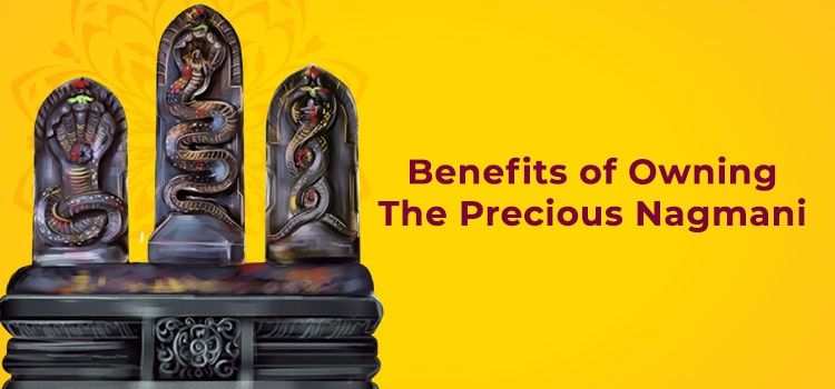 Benefits of Owning The Precious Nagmani Benefits of Owning The Precious Nagmani