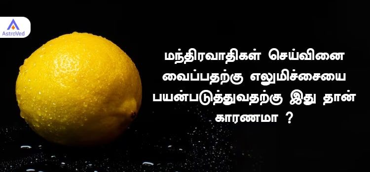 மந்திரவாதிகள் செய்வினை வைப்பதற்கு எலுமிச்சையை பயன்படுத்துவதற்கு என்ன காரணம் தெரியுமா? மந்திரவாதிகள் செய்வினை வைப்பதற்கு எலுமிச்சையை பயன்படுத்துவதற்கு என்ன காரணம் தெரியுமா?
