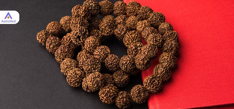 ஐந்து முக ருத்ராட்சம்... யாரெல்லாம் அணியலாம்? | 5 Faced Rudraksha Benefits Tamil