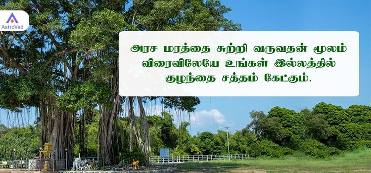 அரச மரத்தை சுற்றி வருவதன் மூலம் விரைவிலேயே உங்கள் இல்லத்தில் குழந்தை சத்தம் கேட்கும். அரச மரத்தை சுற்றி வருவதன் மூலம் விரைவிலேயே உங்கள் இல்லத்தில் குழந்தை சத்தம் கேட்கும்.