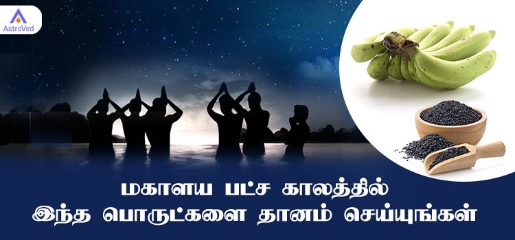 மகாளய பட்ச காலத்தில் இந்த பொருட்களை தானம் செய்யுங்கள்