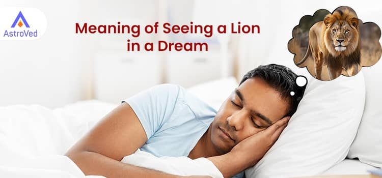Meaning of Seeing a Lion in a Dream 