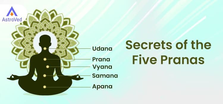 Secrets of the 5 Pranas Secrets of the 5 Pranas