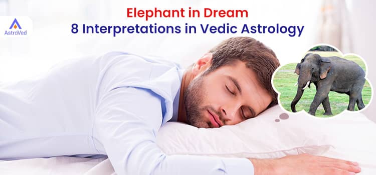 Elephant in Dream: 8 Interpretations in Vedic Astrology