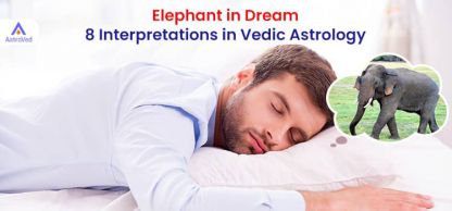 Elephant in Dream: 8 Interpretations in Vedic Astrology