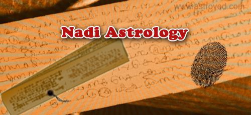 Accuracy of Nadi Predictions Accuracy of Nadi Predictions