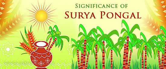 Significance of Surya Pongal Significance of Surya Pongal