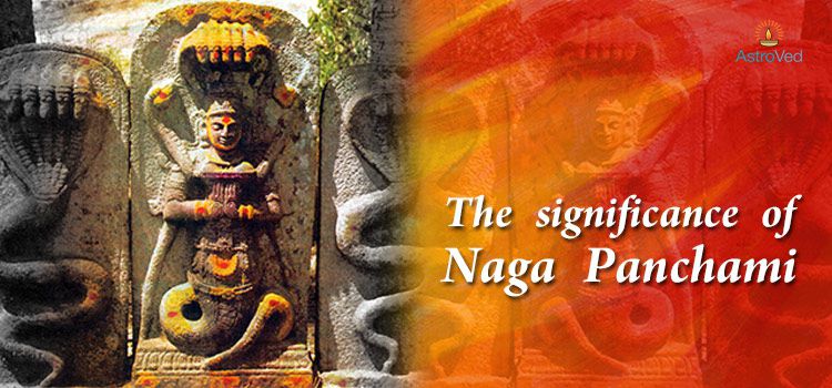 The Significance of Naga Panchami The Significance of Naga Panchami