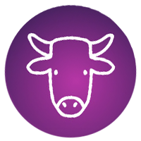 Taurus September 2020 Horoscope Predictions