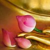Dr. Pillai’s Shreem Brzee Mantra