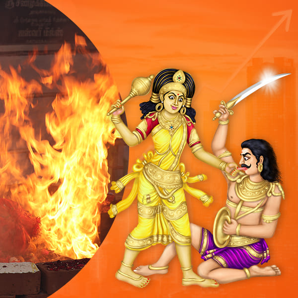 Homa For Business Growth