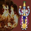 Dhanvantri Homam (Havan)