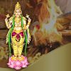Dhanvantri Homam (Havan)