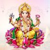Ganesha Homam (Havan)