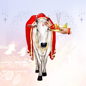 Gho Puja