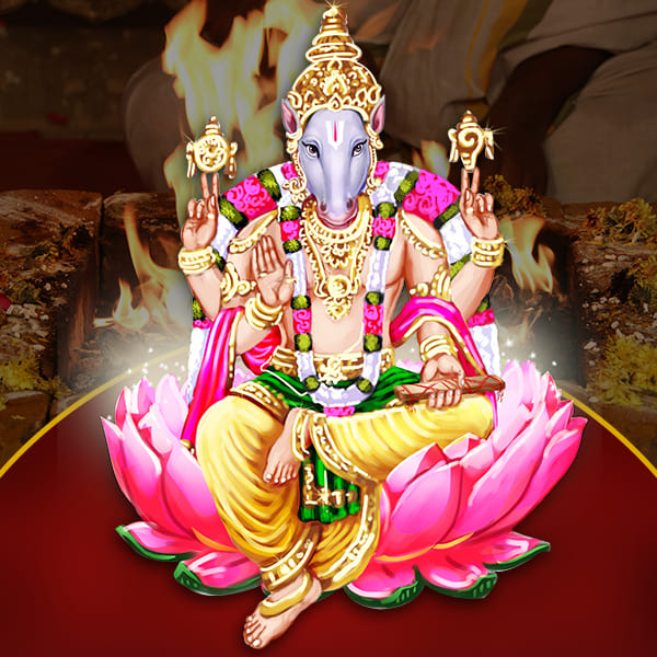 Hayagreeva Homam (Havan)