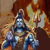 Maha Mrityunjaya Homam (Havan)