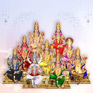 Navagraha Puja
