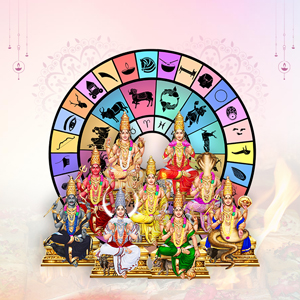 Navagraha and Nakshatra Shanti Homam (Havan)