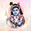 Santhana Gopala Homam (Havan)