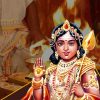 Shatru Samhara Homam (Havan)