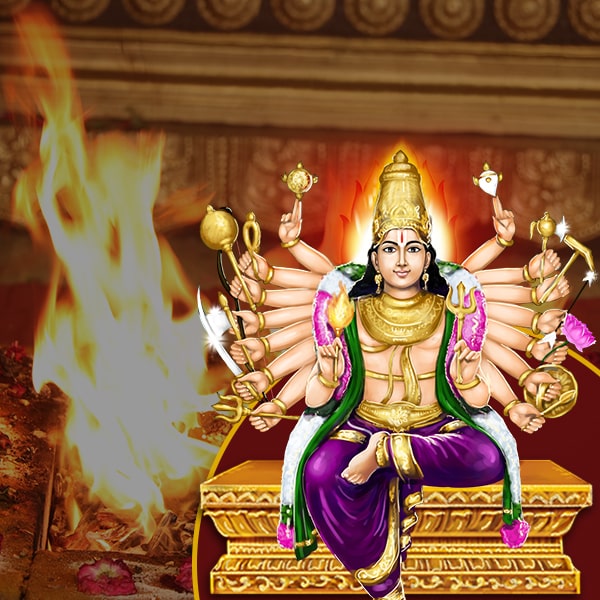 Sudarshana Homam (Havan)