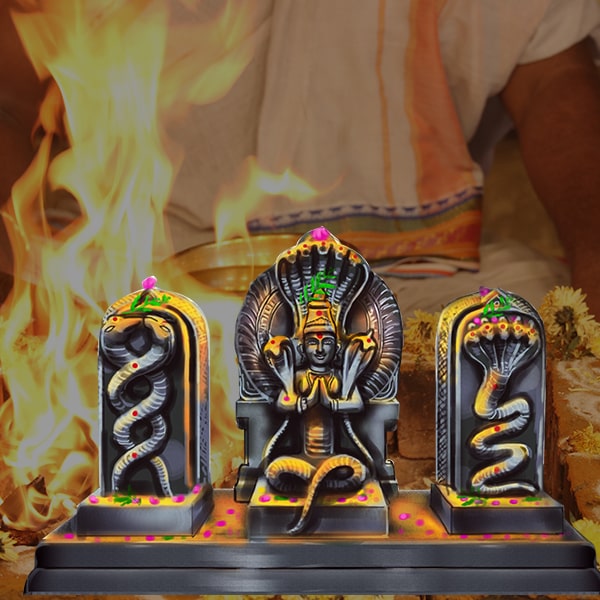 Kala Sarpa Homam (Havan)