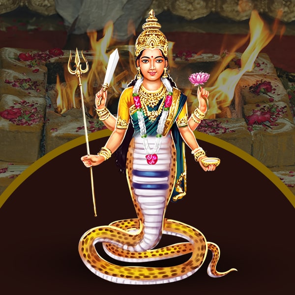 Kala Sarpa Homam (Havan)
