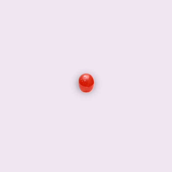 Red Coral 3 Carat