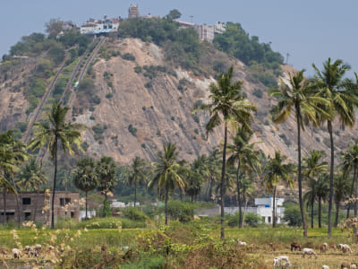 Palani Murugan Temple