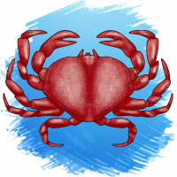 Cancer December 2024 Horoscope Predictions