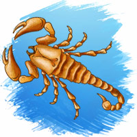 Scorpio July 2025 Horoscope Predictions