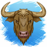 Taurus December 2024 Horoscope Predictions