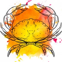 Cancer February 2025 Horoscope Predictions