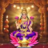 Kanakadhara Puja