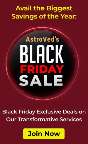 Black Friday Sale