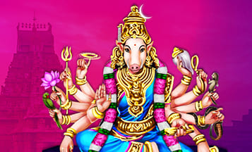 8 Varahi Forms Help Overcome 8 Destiny Blocks