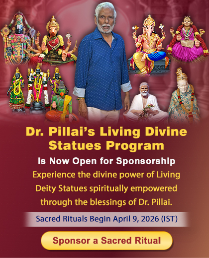 Dr. Pillai's Living Divine Statues Program