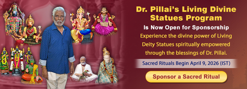 Dr. Pillai's Living Divine Statues Program
