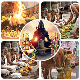 Brahmahatya Dosha Advanced Package