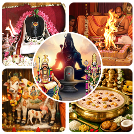 Brahmahatya Dosha Essential Package