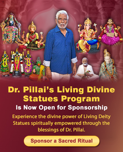 Dr. Pillai's Living Divine Statues Program